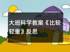 大班科學(xué)教案《比較輕重》反思