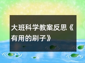 大班科學(xué)教案反思《有用的刷子》