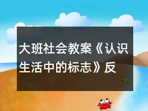 大班社會教案《認(rèn)識生活中的標(biāo)志》反思