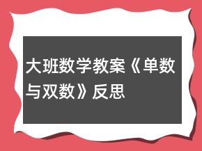 大班數學教案《單數與雙數》反思