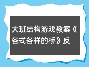 大班結(jié)構(gòu)游戲教案《各式各樣的橋》反思