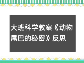 大班科學(xué)教案《動物尾巴的秘密》反思