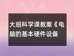 大班科學(xué)課教案《電腦的基本硬件設(shè)備》反思