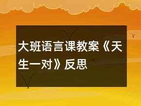 大班語言課教案《天生一對》反思