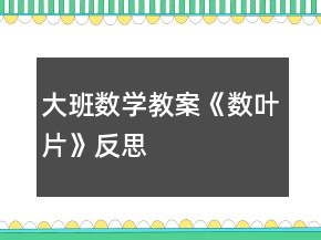 大班數(shù)學(xué)教案《數(shù)葉片》反思