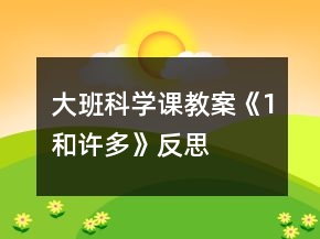 大班科學(xué)課教案《1和許多》反思