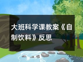 大班科學(xué)課教案《自制飲料》反思