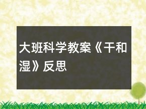 大班科學(xué)教案《干和濕》反思