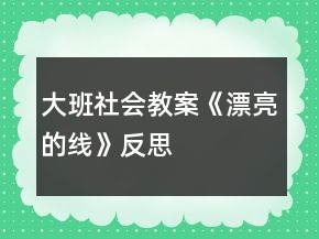 大班社會(huì)教案《漂亮的線》反思