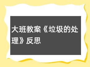 大班教案《垃圾的處理》反思