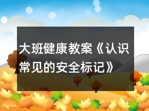 大班健康教案《認(rèn)識(shí)常見的安全標(biāo)記》反思