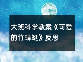 大班科學(xué)教案《可愛的竹蜻蜓》反思