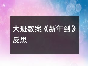 大班教案《新年到》反思