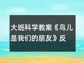 大班科學(xué)教案《鳥兒是我們的朋友》反思