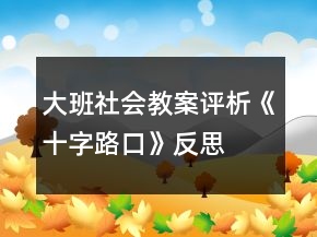 大班社會教案評析《十字路口》反思