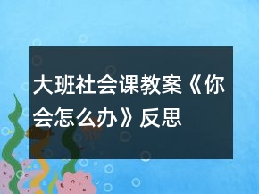 大班社會課教案《你會怎么辦》反思
