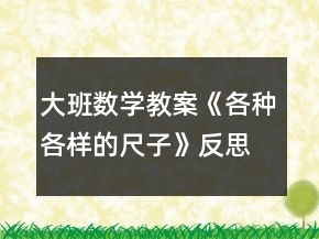 大班數(shù)學(xué)教案《各種各樣的尺子》反思