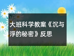大班科學(xué)教案《沉與浮的秘密》反思