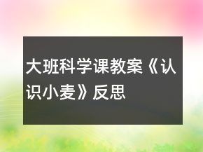 大班科學(xué)課教案《認(rèn)識小麥》反思