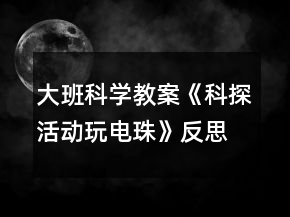 大班科學教案《科探活動玩電珠》反思