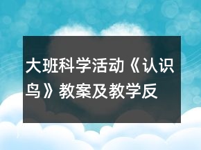 大班科學(xué)活動(dòng)：《認(rèn)識(shí)鳥》教案及教學(xué)反思
