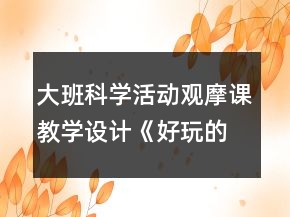 大班科學(xué)活動(dòng)觀摩課教學(xué)設(shè)計(jì)：《好玩的動(dòng)畫(huà)》