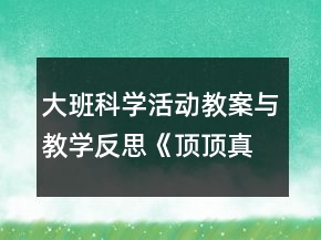 大班科學(xué)活動(dòng)教案與教學(xué)反思《頂頂真有趣》