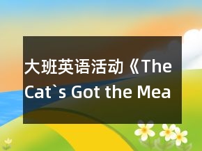 大班英語活動《The Cat`s Got the Measles》教案與教學(xué)反思