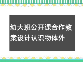 幼大班公開課合作教案設(shè)計：認識物體外部特征