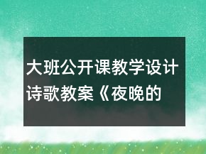 大班公開課教學(xué)設(shè)計(jì)詩歌教案《夜晚的城市》及評析