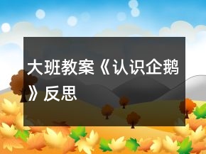 大班教案《認(rèn)識(shí)企鵝》反思
