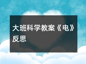 大班科學(xué)教案《電》反思