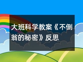 大班科學(xué)教案《不倒翁的秘密》反思