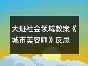 大班社會(huì)領(lǐng)域教案《城市美容師》反思