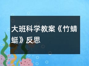 大班科學(xué)教案《竹蜻蜓》反思