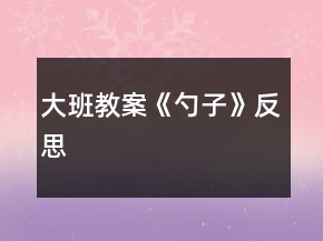 大班教案《勺子》反思