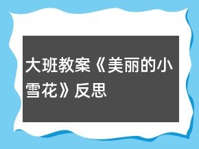 大班教案《美麗的小雪花》反思