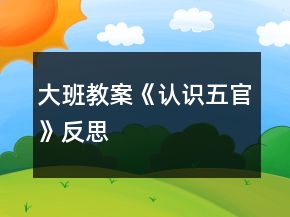 大班教案《認(rèn)識(shí)五官》反思