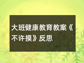 大班健康教育教案《不許摸》反思