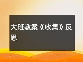 大班教案《收集》反思