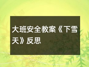大班安全教案《下雪天》反思