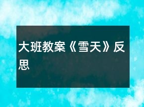 大班教案《雪天》反思