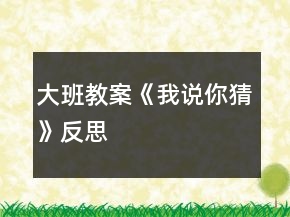大班教案《我說你猜》反思