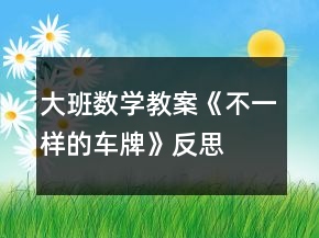大班數(shù)學(xué)教案《不一樣的車牌》反思