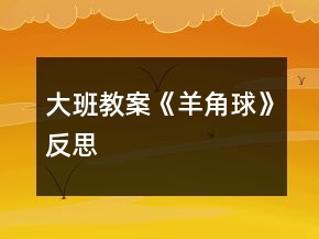大班教案《羊角球》反思