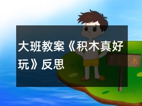 大班教案《積木真好玩》反思