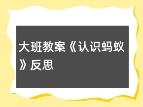 大班教案《認(rèn)識(shí)螞蟻》反思
