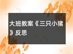 大班教案《三只小豬》反思