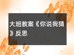 大班教案《你說(shuō)我猜》反思