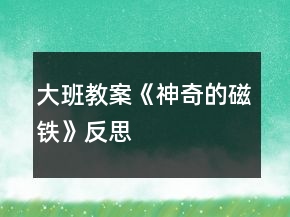 大班教案《神奇的磁鐵》反思